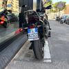 BENELLI - TRK 702 - 2024